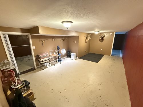Lewis Auction